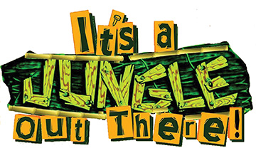 How Successful Games implement Reward Videos